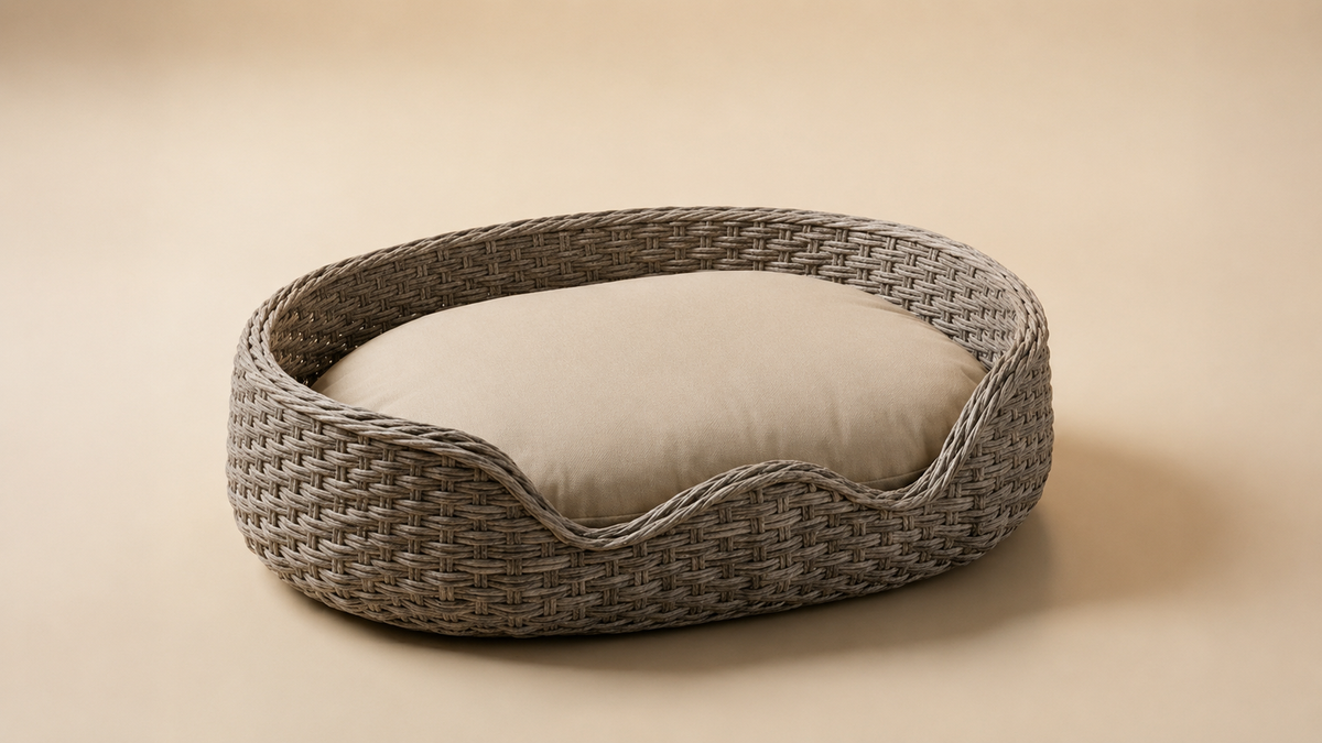 Ocean Nest